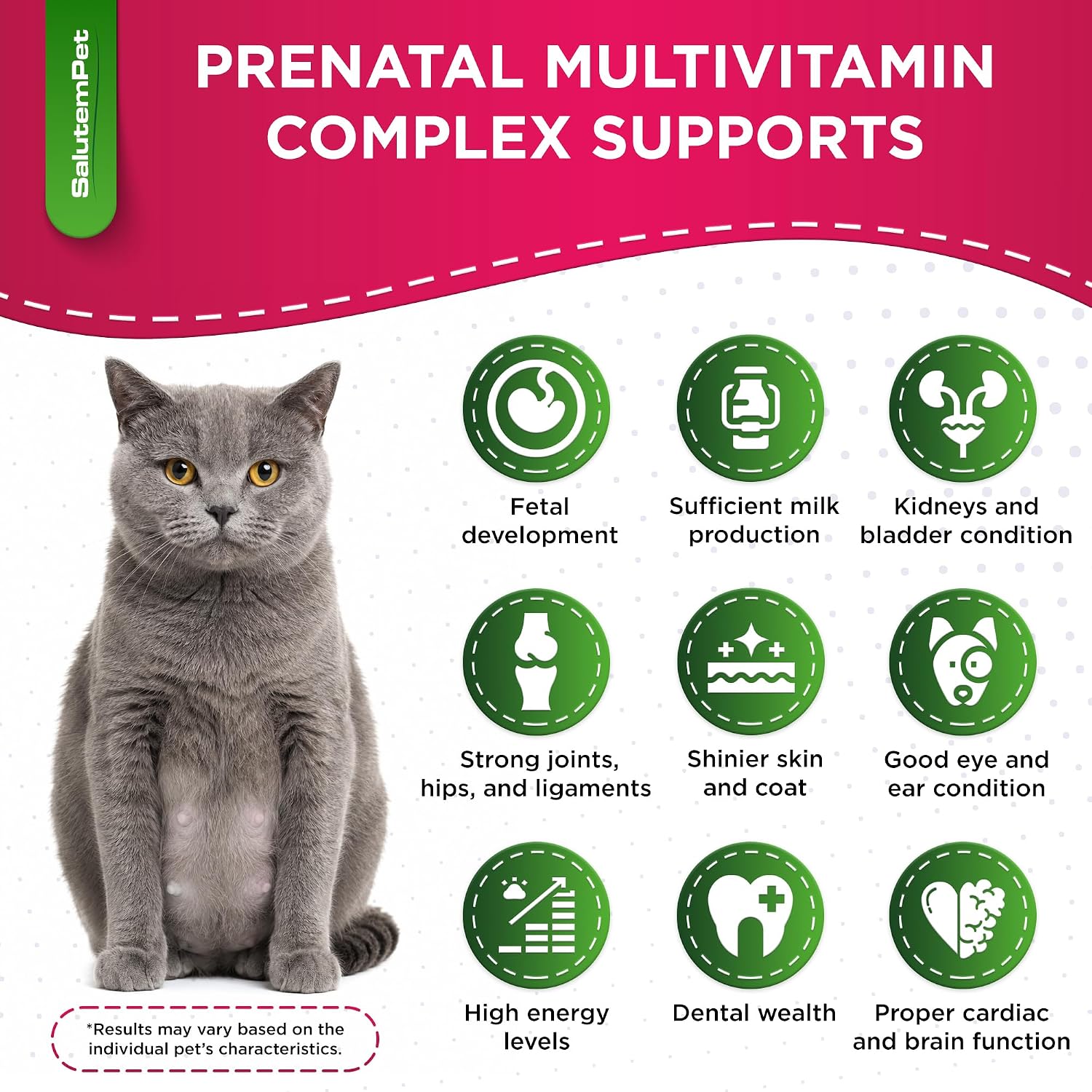 SalutemPet Dog Prenatal Vitamins – Liquid Multivitamin for Pregnant & Lactating Dogs & Cats – All Breeds – 2 fl oz (60 ml) - görsel 2