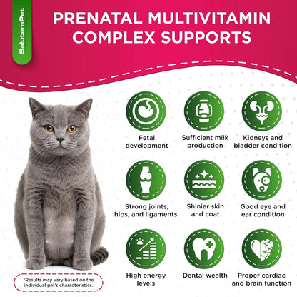 SalutemPet Dog Prenatal Vitamins – Liquid Multivitamin for Pregnant & Lactating Dogs & Cats – All Breeds – 2 fl oz (60 ml)