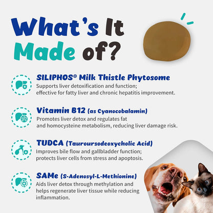 Branvine Liver Alive Metabolism System Health for Dogs and Cats - Liver Support with SILIPHOS®, TUDCA, SAMe - Vegan Bacon Flavour (60ml)