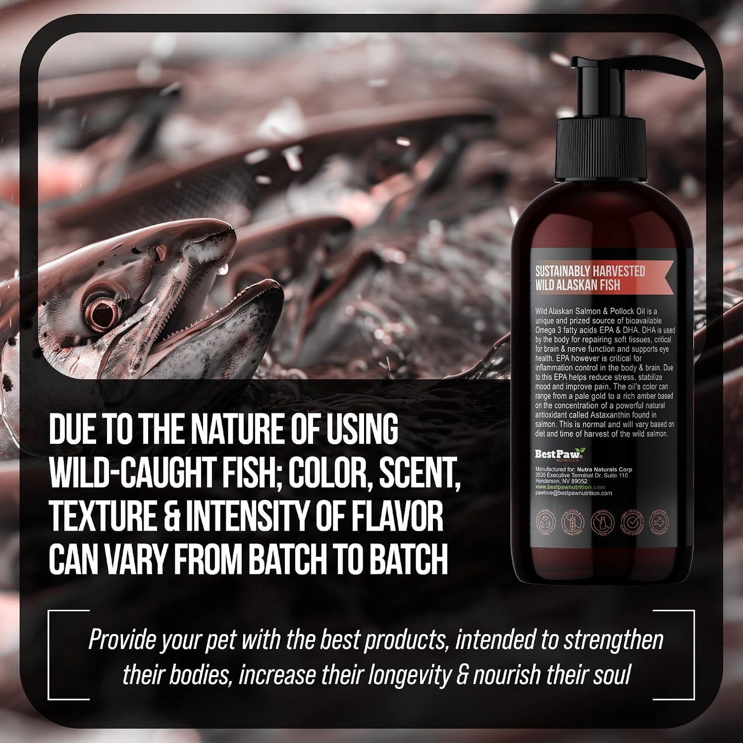 Wild Alaskan Salmon Oil for Dogs | Liquid Omega-3 with Pump | 240 ml - görsel 8