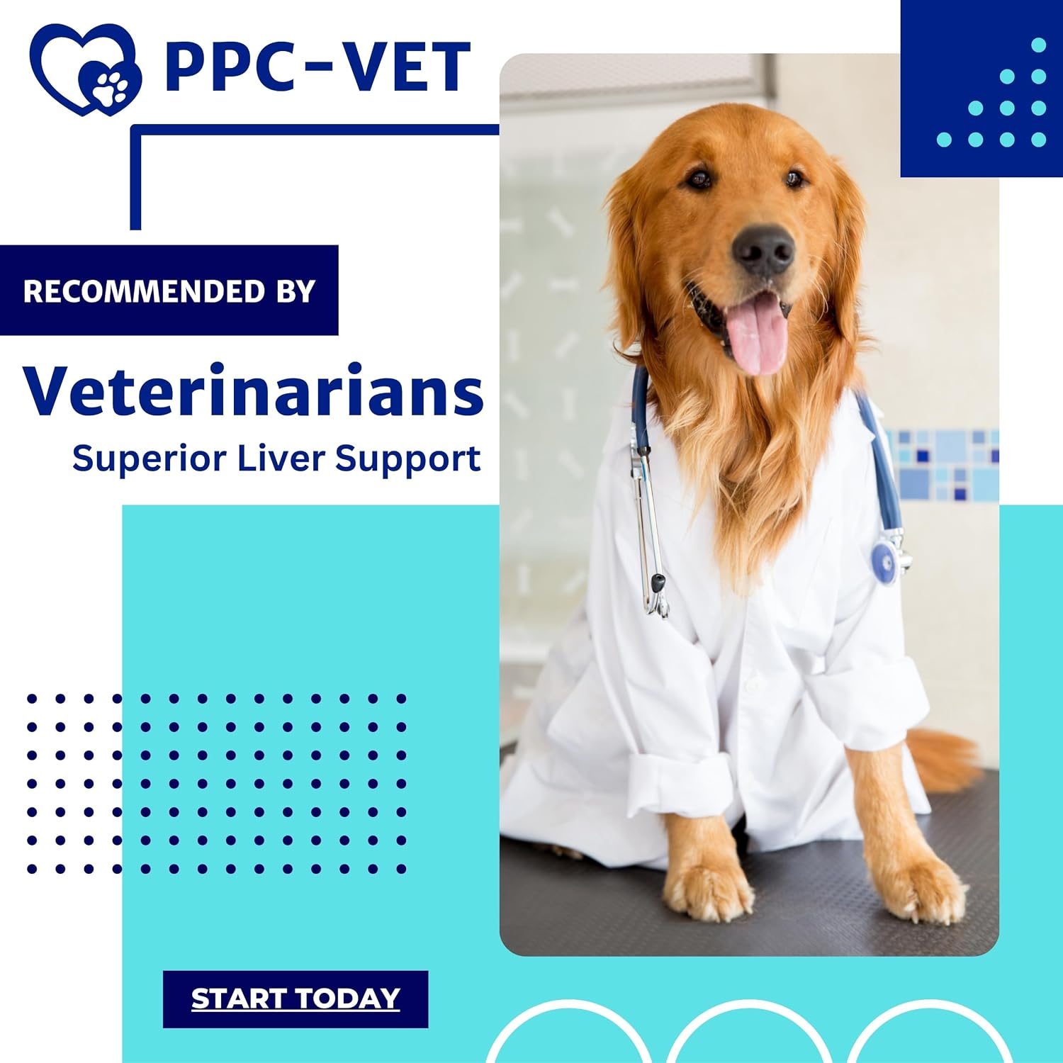 PPC-Vet Polyunsaturated Phosphatidylcholine Liver and Brain Health Supplement for All Sized Cats and Dogs 1000mg PPC / 5mL - Liposomal Liquid 237ml - görsel 4