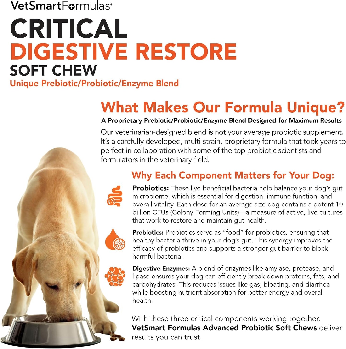 Critical Digestive Restore Soft Chews for Dogs - 10 Billion CFU Probiotic Support - görsel 3