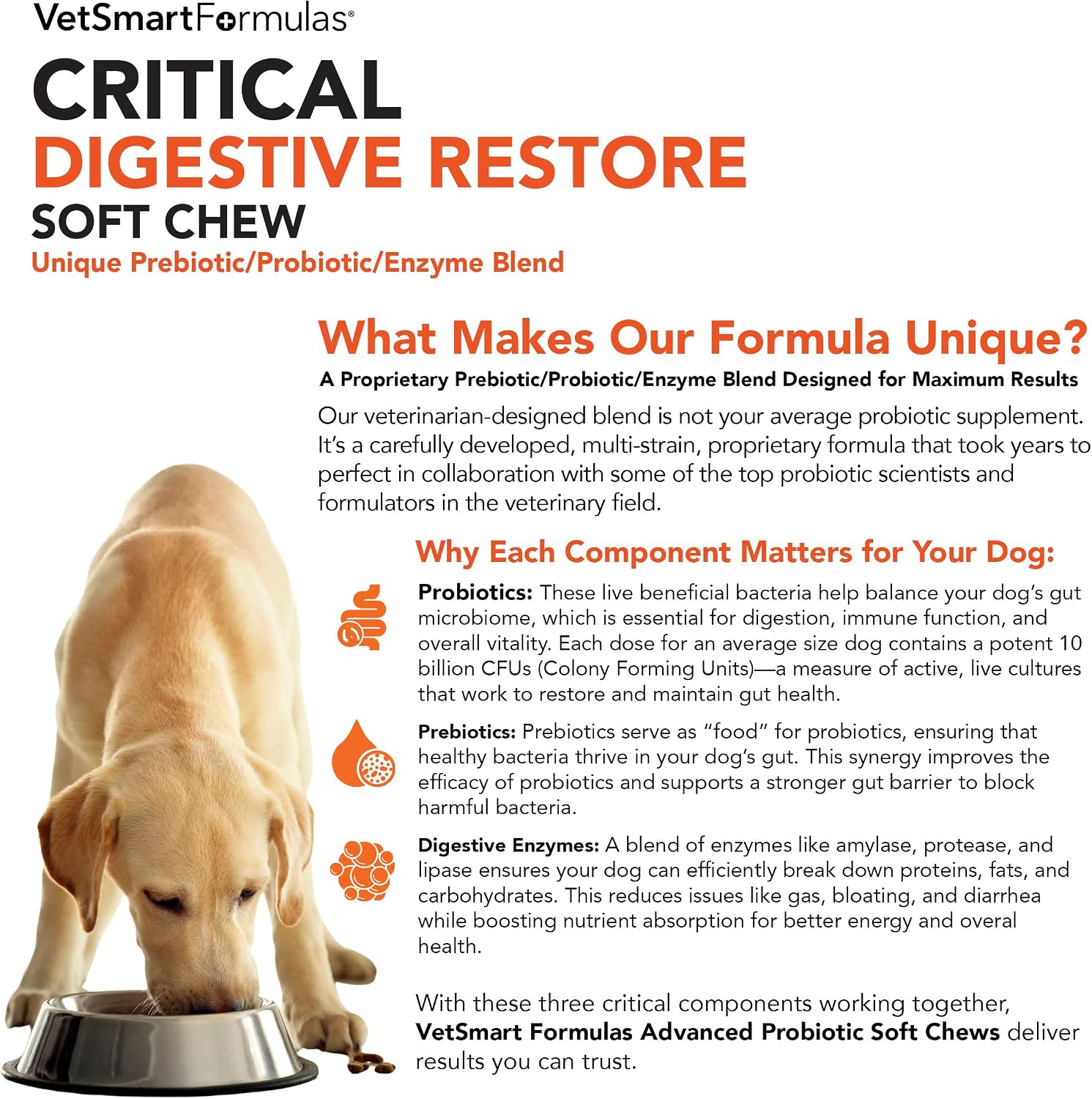 Critical Digestive Restore Soft Chews for Dogs - 10 Billion CFU Probiotic Support - görsel 3