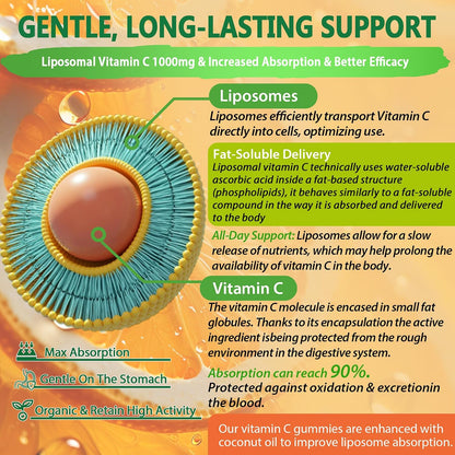 NEVISS Liposomal Vitamin C 1000mg Gummies with Elderberry, Zinc and Iron