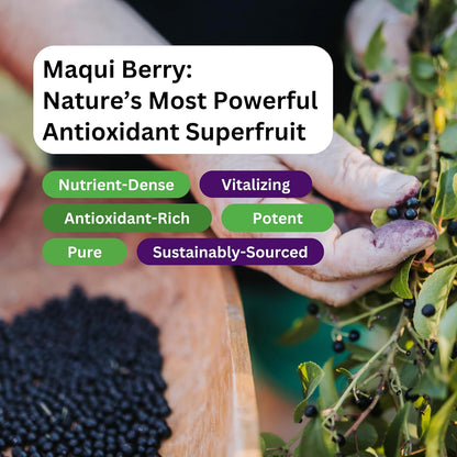 Paradise Herbs, Organic Maqui Berry Extract, 400 mg, Fresh, Freeze-Dried Concentrate for Superior Potency, Non-GM, Vegan, 60 Capsules