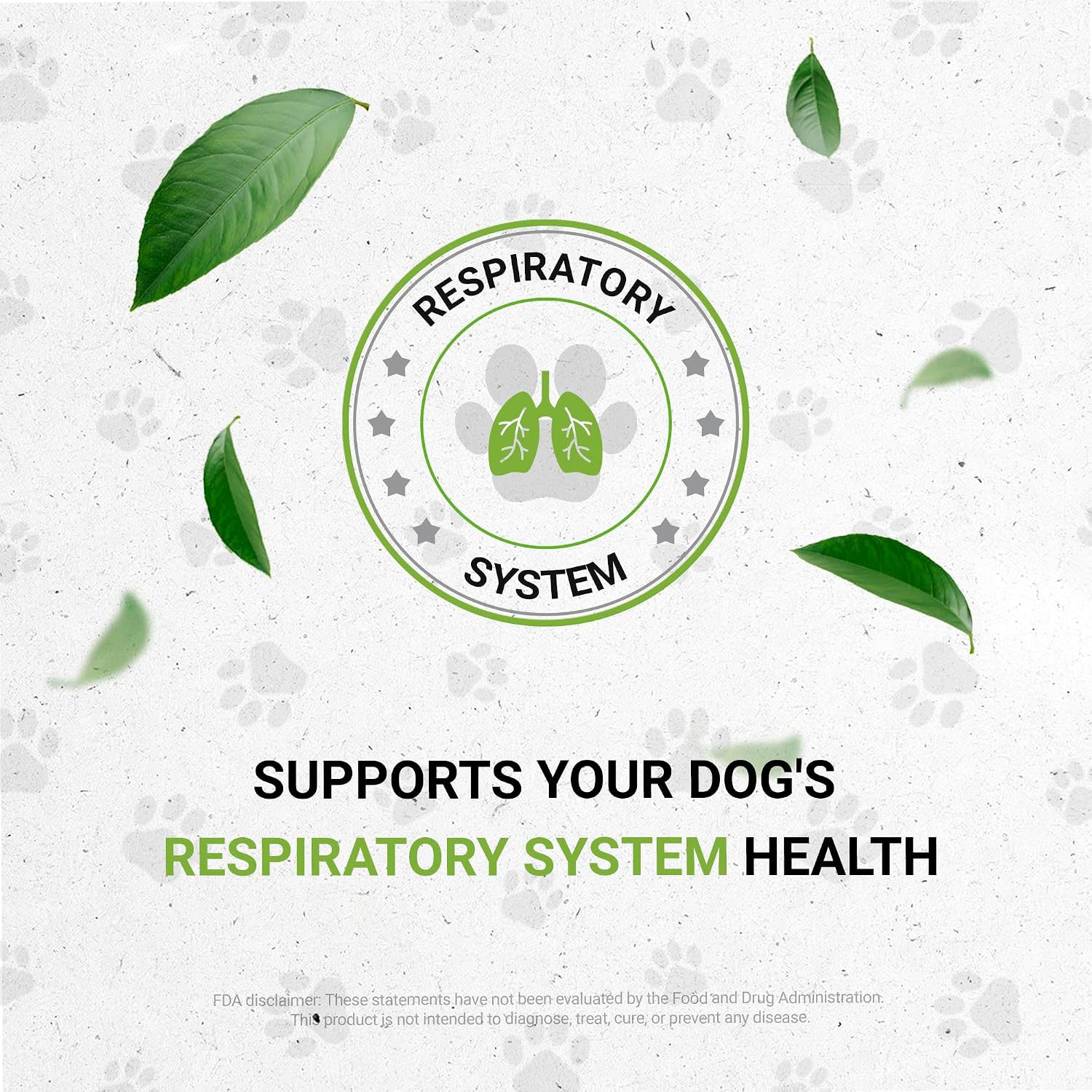 Wolf's Respiratory Natural Herbal Supplement for Dogs - Alcohol-Free Extract with Linden, Elderflower, Chamomile, Peppermint, Fennel 2 oz - görsel 5