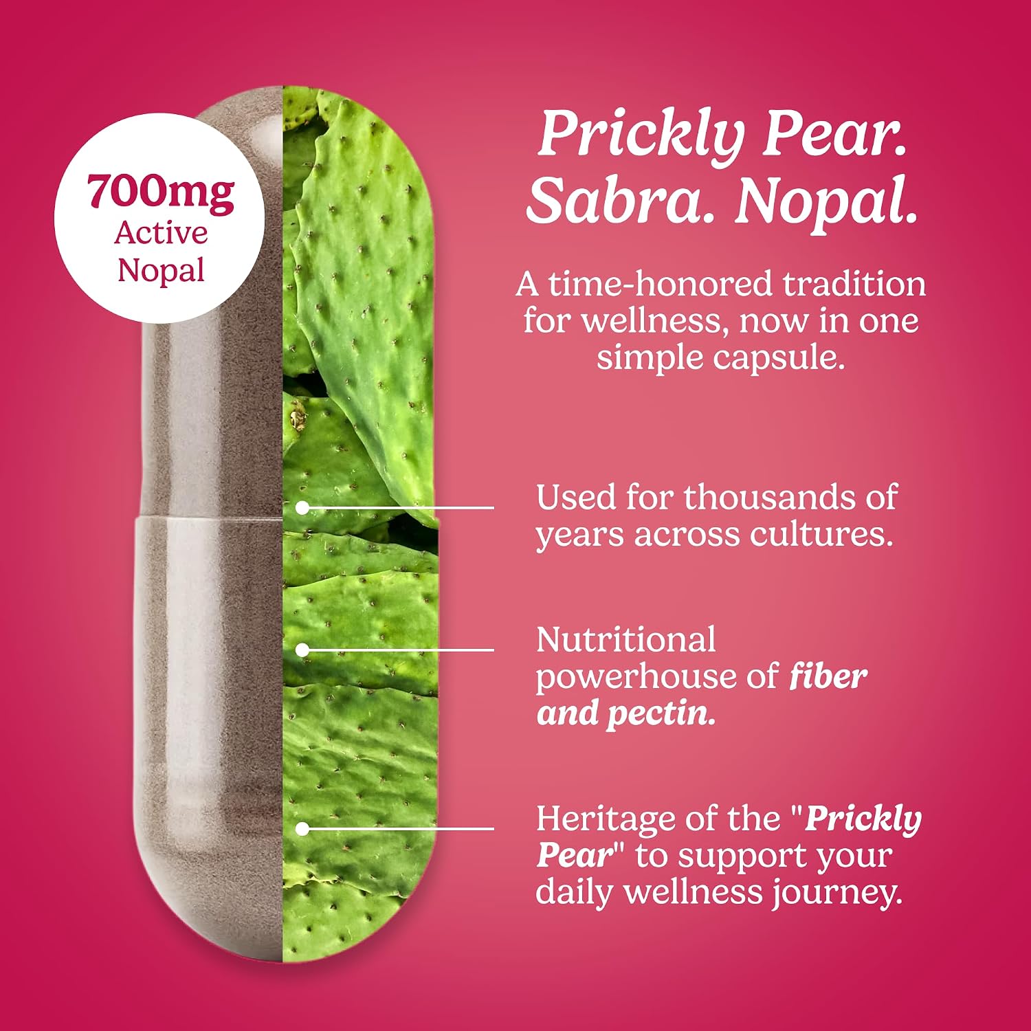 Santo Remedio Nopal, Sugar and Gluten-free Food Supplement, Prickly Pear Cactus Food Supplement, 700 mg, 180 Capsules, 90 Servings Per Container - görsel 3
