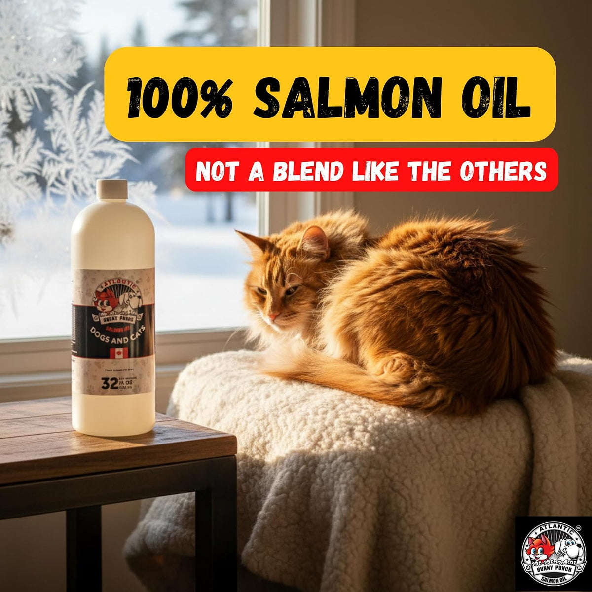 Bunny Punch Pure Atlantic Salmon Oil for Dogs & Cats - Liquid Food Topper - 946 ml - görsel 8