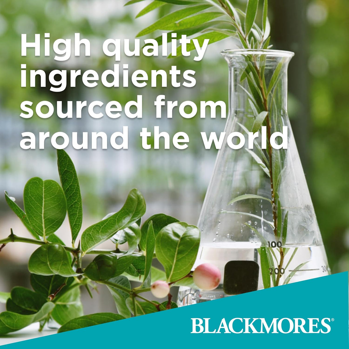 Blackmores B12 Rapi-Melt 1000mcg Cherry 60 Melts - görsel 8