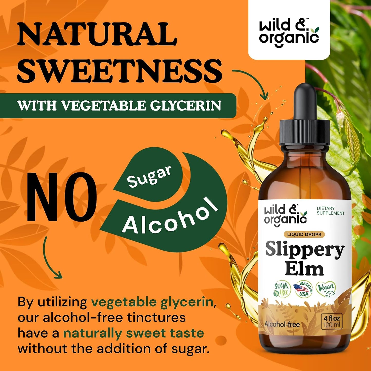 Wild & Organic Slippery Elm Liquid Drops - Lung, Digestive & Women's Support - Slippery Elm Bark Supplement - Add to Tea Tincture - Ulmus Rubra Herb - Vegan, Sugar & Alcohol-Free - 118 ml (4 fl oz) - görsel 6