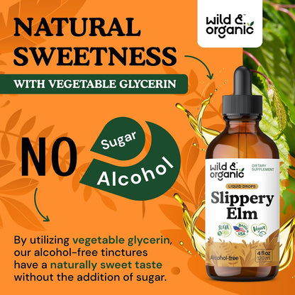 Wild & Organic Slippery Elm Liquid Drops - Lung, Digestive & Women's Support - Slippery Elm Bark Supplement - Add to Tea Tincture - Ulmus Rubra Herb - Vegan, Sugar & Alcohol-Free - 118 ml (4 fl oz)