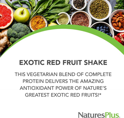 NaturesPlus FRUITEIN Exotic Red Fruit Shake - Plant-Based Protein & Multivitamin Powder, 590g