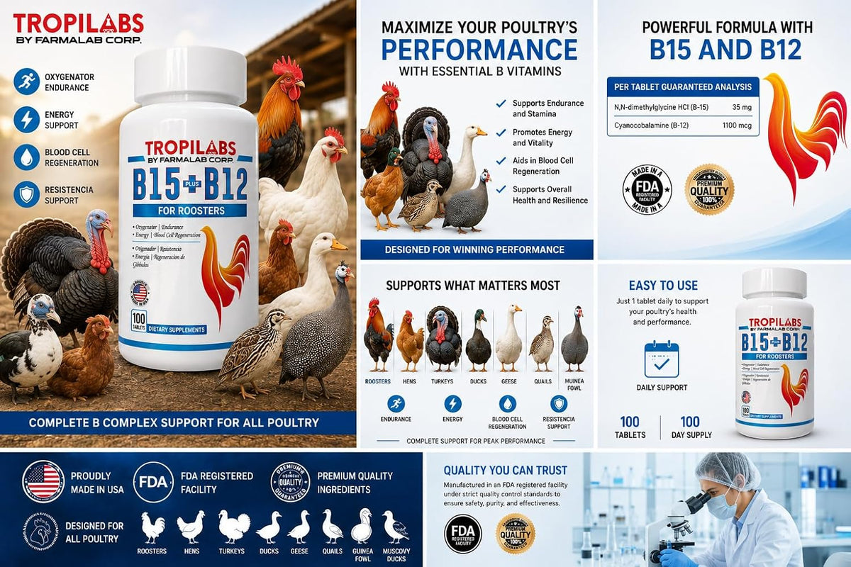 Farmalab B12 & B15 Supplement for Cockerels, 100 Tablets - görsel 3