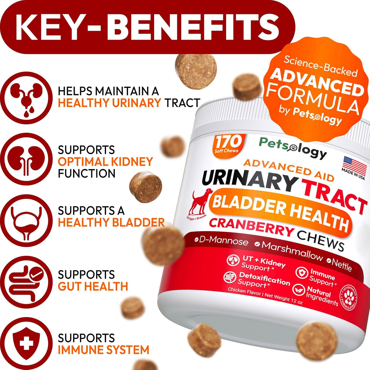 Petsology Dog UTI Treatment - 170 Cranberry Chews for Dogs - Urinary & Bladder Health Multivitamin with D-Mannose - görsel 2