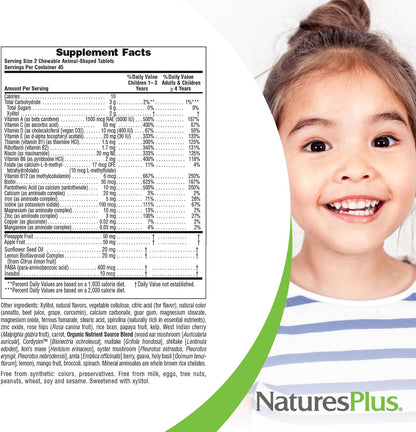 NaturesPlus Animal Parade Sugar-Free Children's Multivitamin - Assorted Cherry, Grape & Orange Flavours - Pack of 2, 90 Chewable Tablets - 90 Total Servings