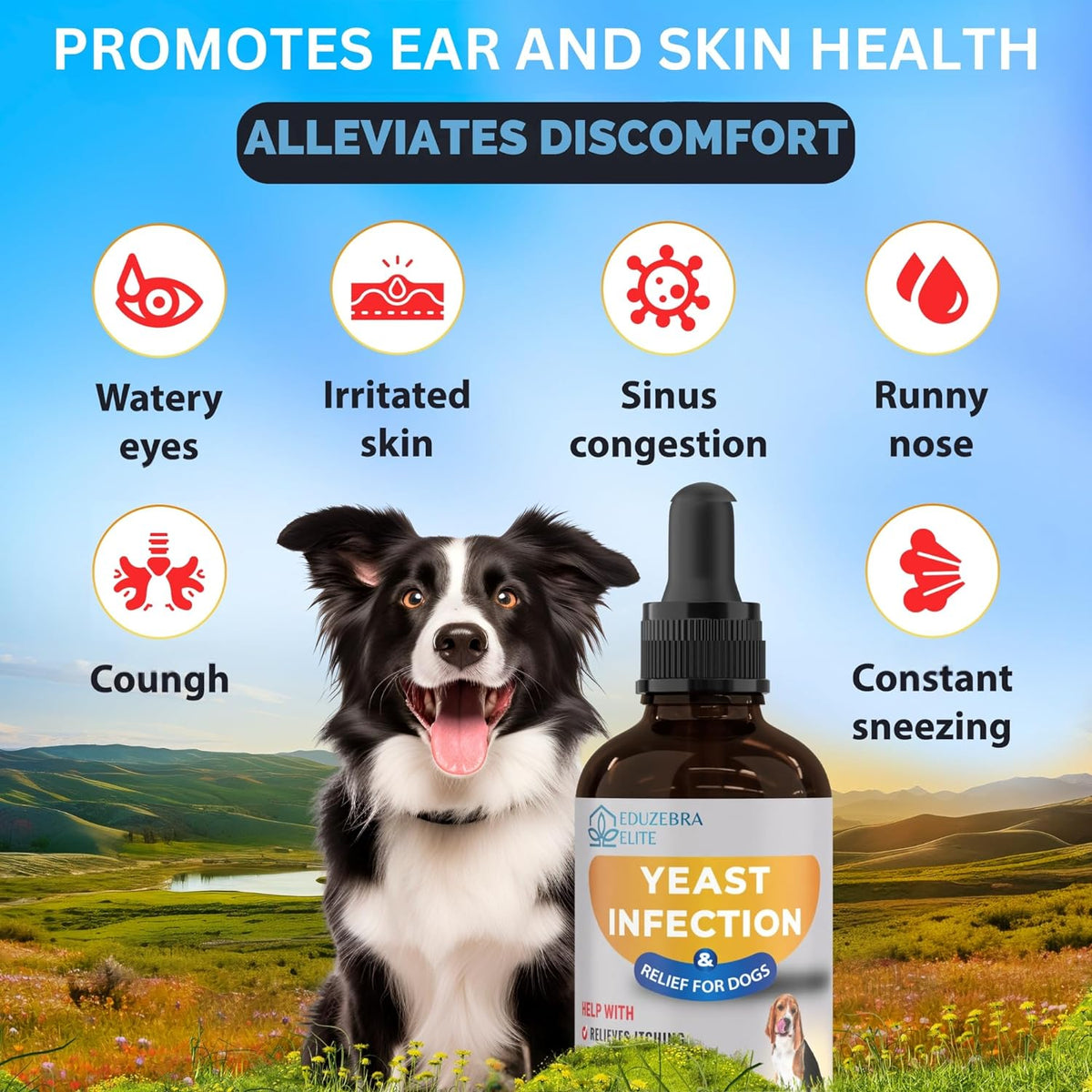 EDUZEBRA Yeast Infection Support for Dogs – Soothing Itch Relief & Skin Health Liquid Supplement - görsel 3