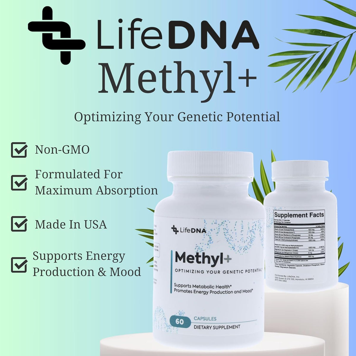 LIFEDNA Methyl + Methylfolate - Methylated Folate Vitamins Active 5-MTHF TMG Optimised Homocysteine, Brain, Cardiovascular Highly Bioavailable, MTHFR Supplement - görsel 5