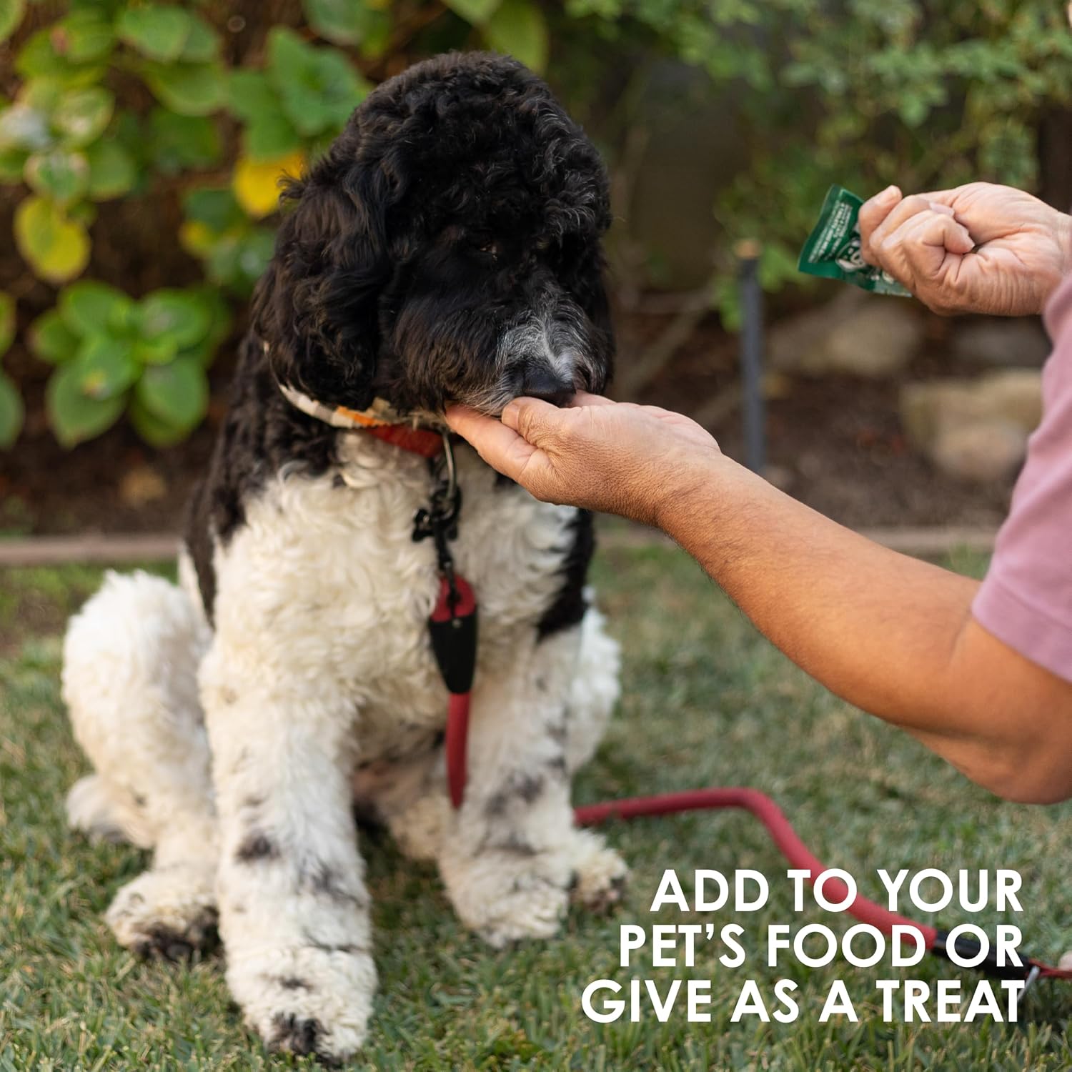 Sun Chlorella Pet Chews Green Superfood Supplement for Dogs and Cats - 120 Chews - görsel 8