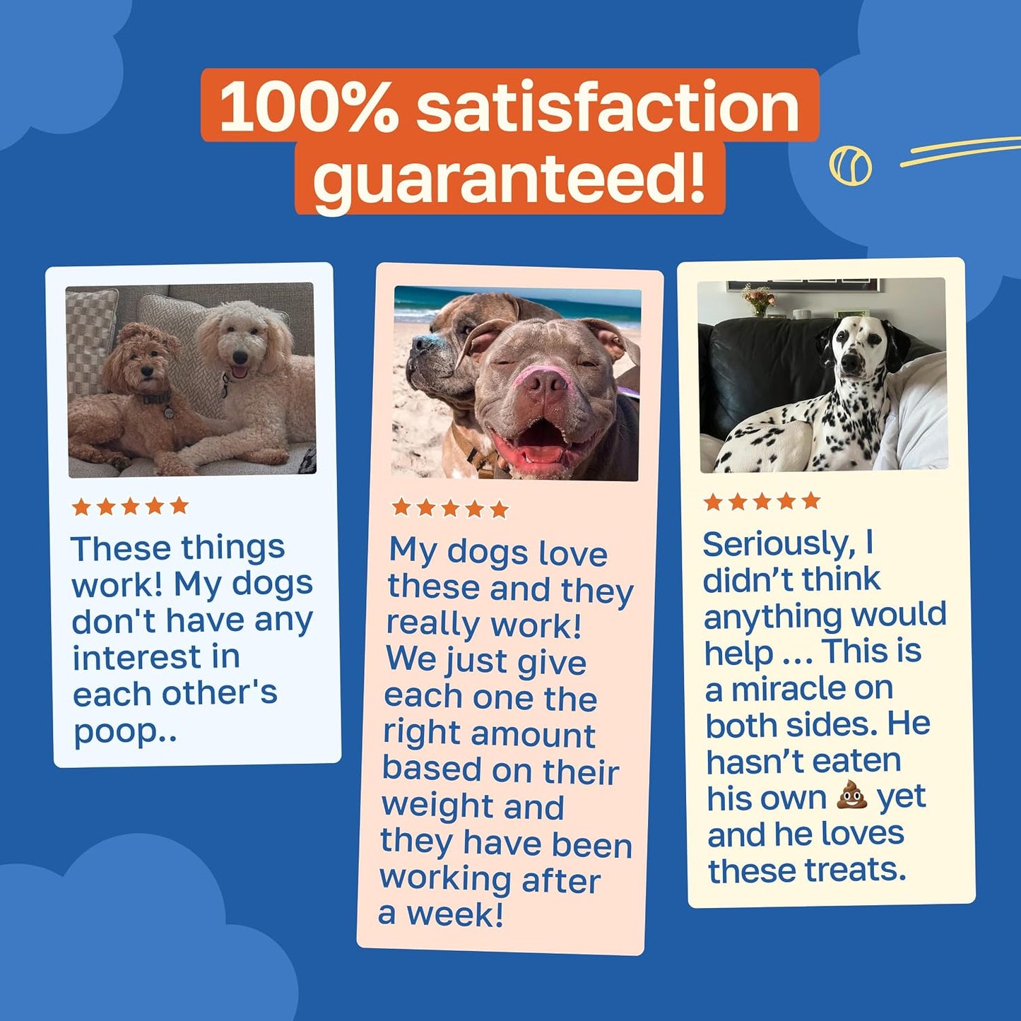 Happy Paws No Poo Chews for Dogs - Coprophagia Deterrent with Probiotics, Pumpkin & Enzymes, Beef Flavour, 100 Count - görsel 6