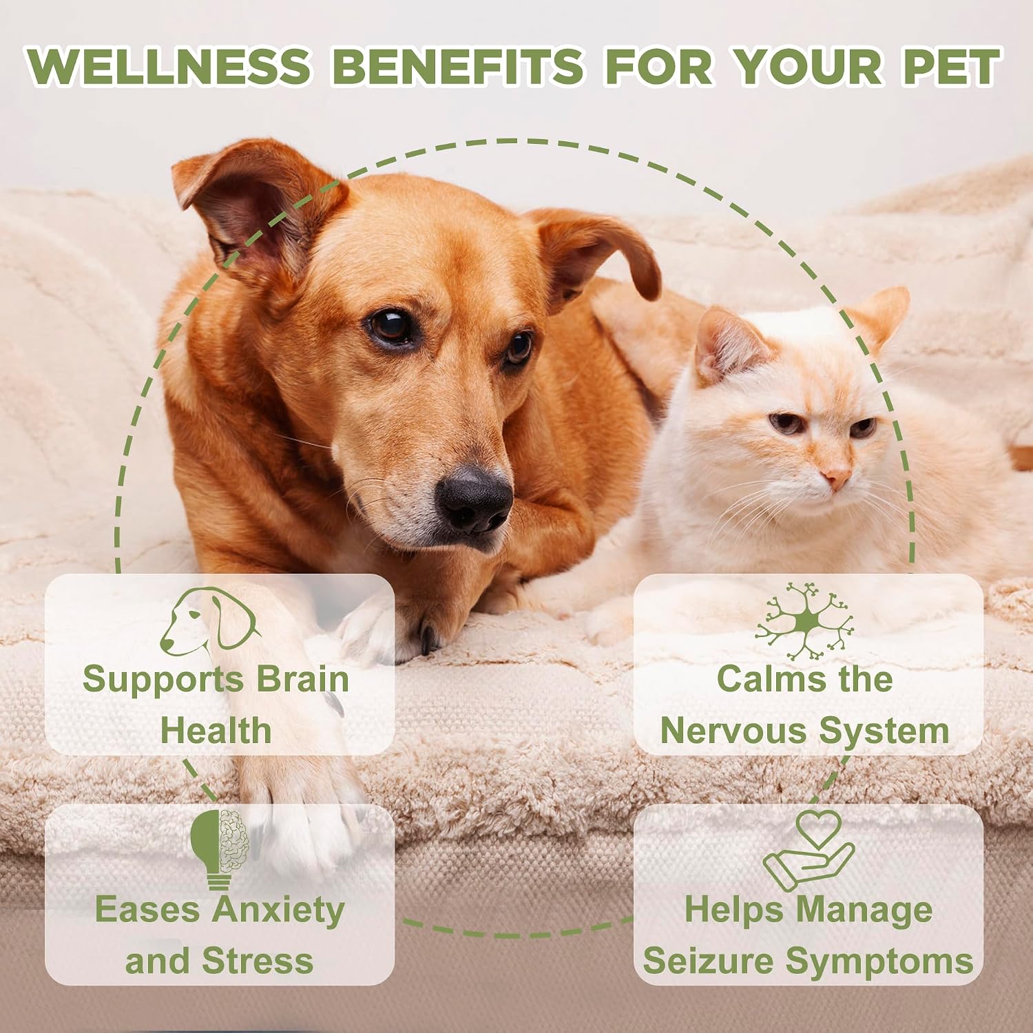 Seizure and Epilepsy Supplement for Dogs and Cats, Nervous System Support, Natural Herbal Help for Anxiety, Muscle Twitching, Drooling and Repetitive Movements - görsel 4