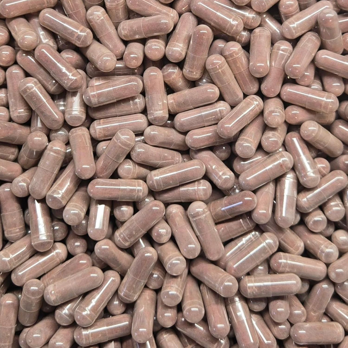 Aronia Extract 4:1 Capsules – 120 Capsules - görsel 3