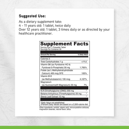Little DaVinci Focus Chewable - Supplement to Support Behaviour, Brain Health, and Immune Health for Children - With Vitamin B6, Folate, Vitamin B12, and More - Orange Flavour - Sugar-Free - 90 Tablets