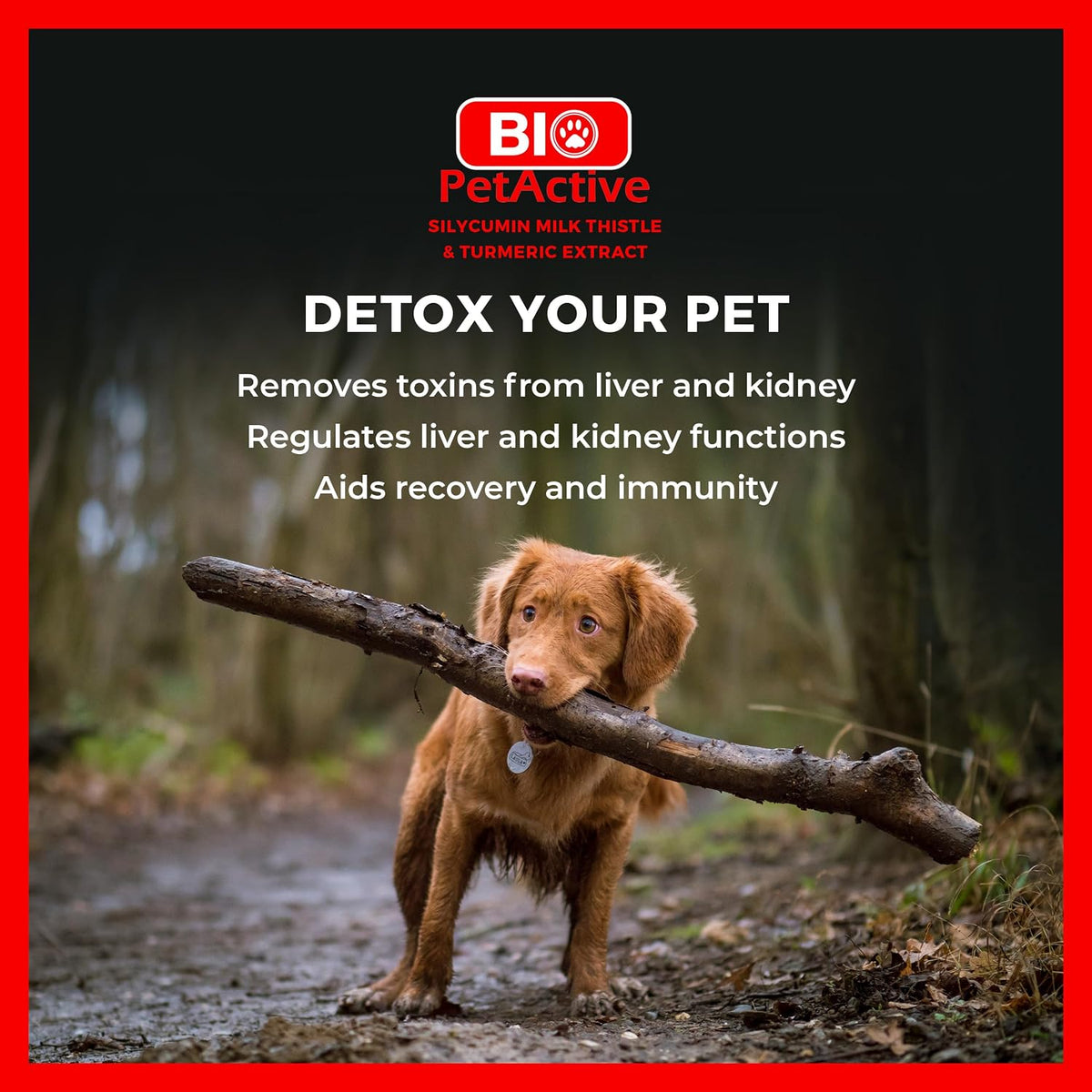 Bio PetActive Silycumin Milk Thistle & Turmeric Supplement for Dogs - Advanced Liver & Kidney Support with 80% Silymarin and Curcumin - Detoxification & Antioxidant Formula - 45 Chewable Tablets - görsel 5