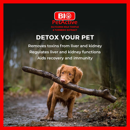 Bio PetActive Silycumin Milk Thistle & Turmeric Supplement for Dogs - Advanced Liver & Kidney Support with 80% Silymarin and Curcumin - Detoxification & Antioxidant Formula - 45 Chewable Tablets