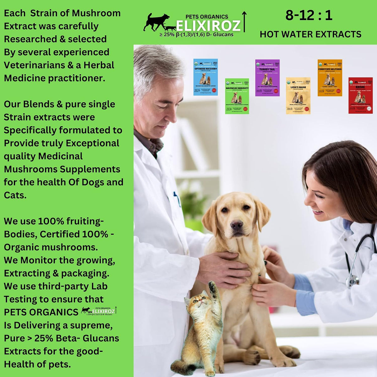 Mushroom Complex for Dogs and Cats – 25%+ Beta Glucans – Fruiting Body Extract Blend (Turkey Tail, Reishi, Maitake, Shiitake) – Immune and Gut Support – No Mycelium, No Fillers – 250 Servings - görsel 7