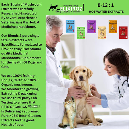 Mushroom Complex for Dogs and Cats – 25%+ Beta Glucans – Fruiting Body Extract Blend (Turkey Tail, Reishi, Maitake, Shiitake) – Immune and Gut Support – No Mycelium, No Fillers – 250 Servings
