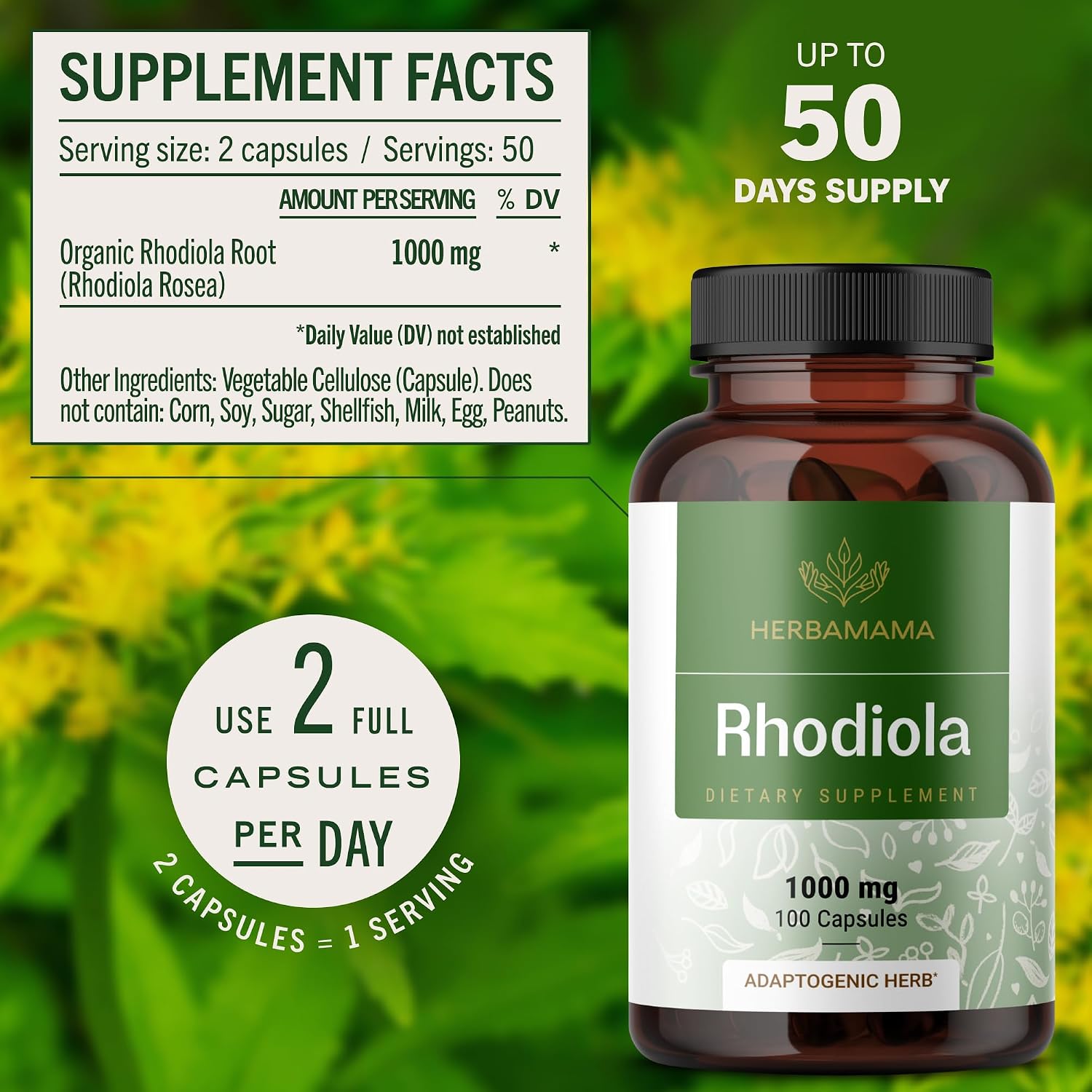 HERBAMAMA Rhodiola Rosea Supplement – Rhodiola Rosea Capsules for Stress Relief & Mental Focus Support – 100 Vegan Capsules (50 Servings) - görsel 3