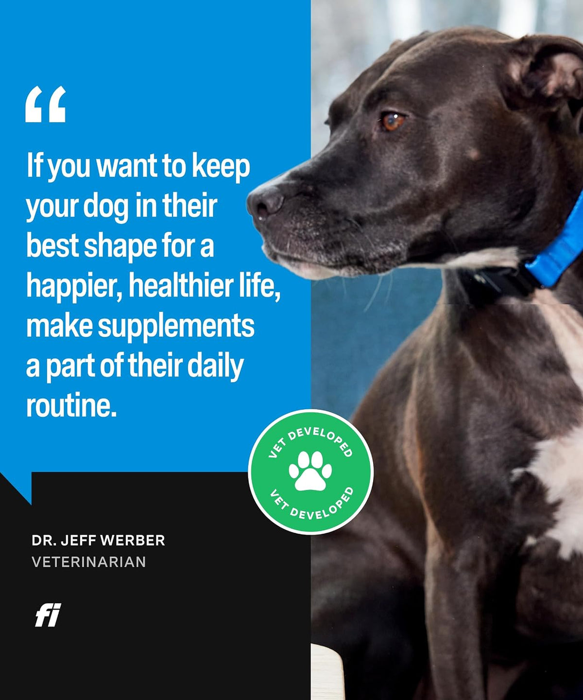 Fi Dog Supplements - Skin & Coat Powder Food Topper | Omega-3, Biotin & Zinc | Vet-Formulated | 90 Scoops - görsel 6