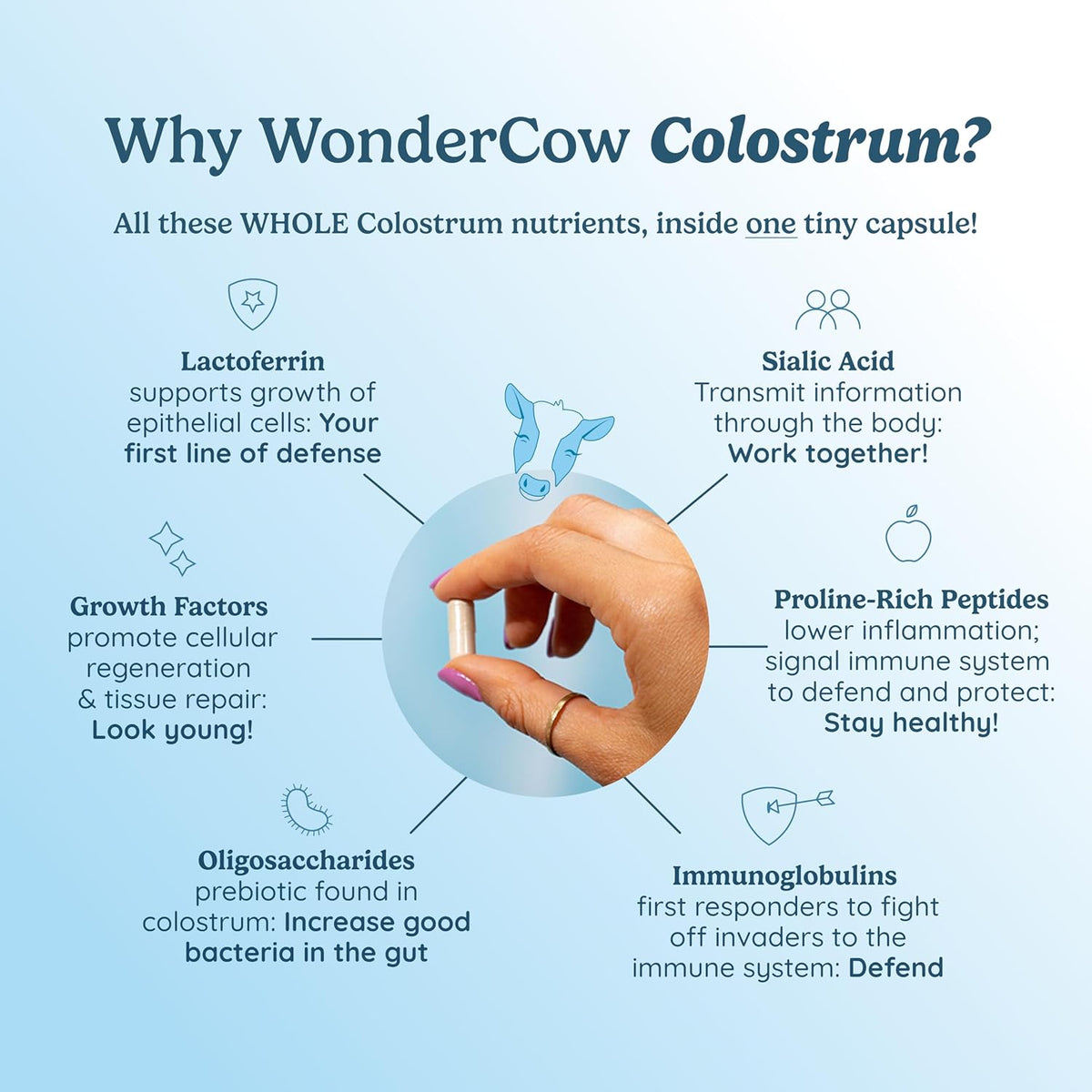 WONDERCOW Colostrum Capsules – Whole Bovine Colostrum Supplement for Gut Health and Immune Support - görsel 4