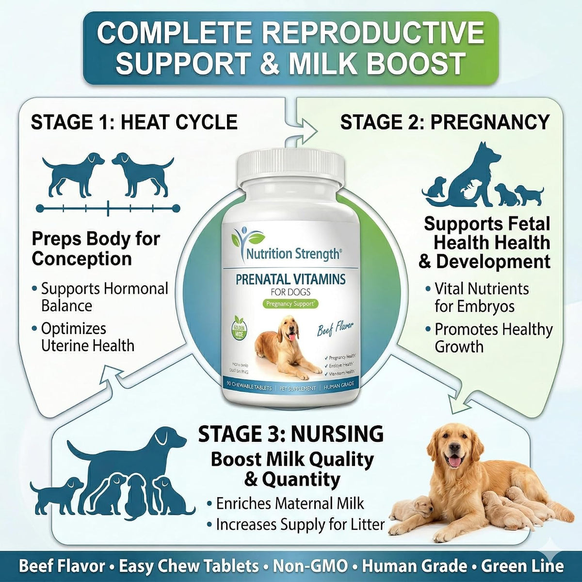 Prenatal Vitamins for Dogs – 90 Chewable Tablets | Nutrition Strength - görsel 7
