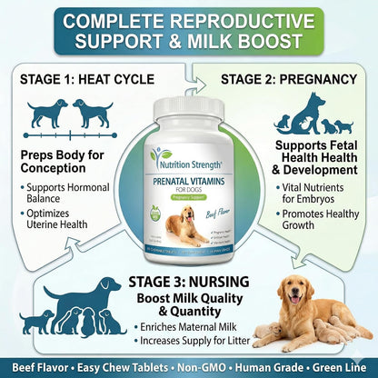 Prenatal Vitamins for Dogs – 90 Chewable Tablets | Nutrition Strength