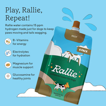 Rallie Beef Flavoured Hydrogen Water for Dogs with Electrolytes, Glucosamine, and B Vitamins – 500ml (6 Pack)