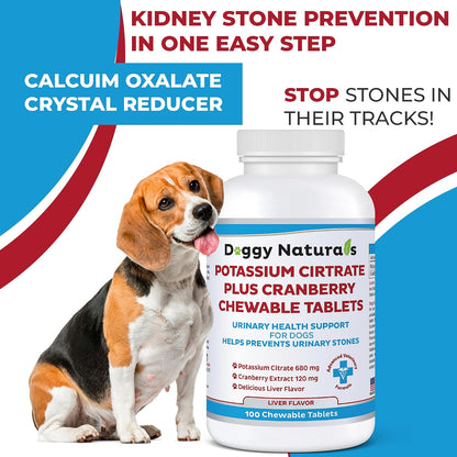 Potassium Citrate Plus Cranberry Supplement for Dogs (100 Tablets) – Urinary Tract Support – Helps Deter Formation of Calcium Oxalate Stones – Deters Bladder & Kidney Stones (Made in the USA)
