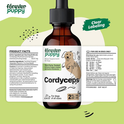 Cordyceps Mushroom Tincture for Dogs – Energy Support Supplement with Cordyceps Sinensis Extract for Kidney Cleanse – Mushroom Drops for Dogs' Canine Kidney Health Support – 60 ml
