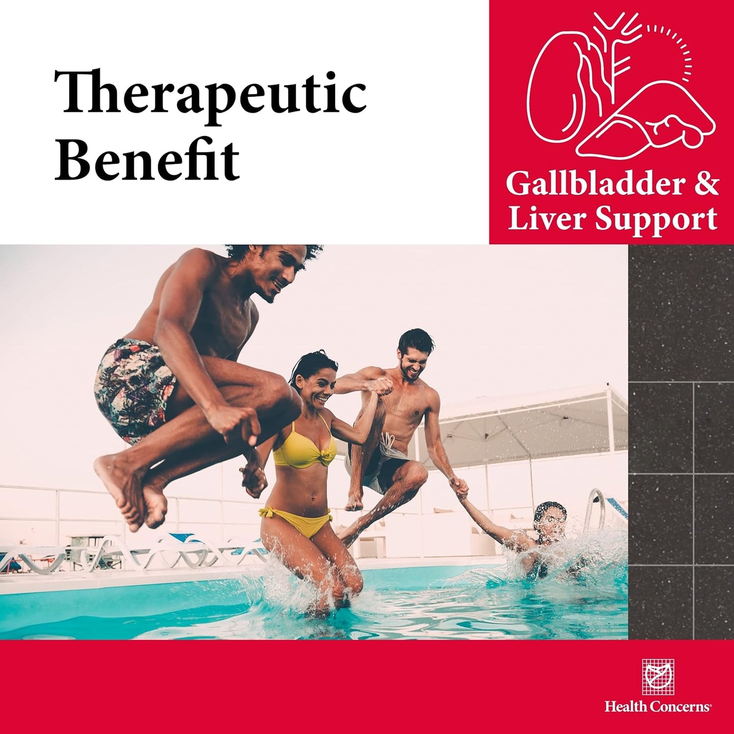 Health Concerns GB-6 – Gallbladder Support Supplement – Chuan Lian Zi Herbal Formula – 90 Capsules - görsel 5