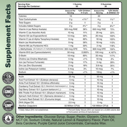Wild Foods Kids Multivitamin Gummies – with Vitamins A, C, D, E, B12, Iron & DHA – 60 Gummies