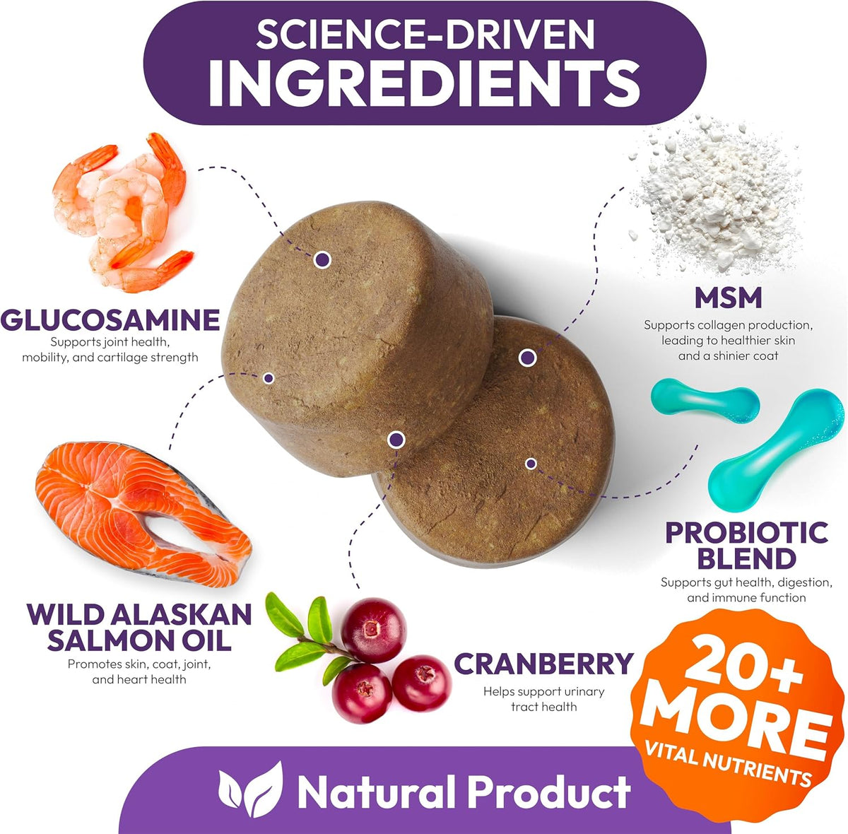 Petsology Dog Multivitamin Chewable - 170 Chews - görsel 3
