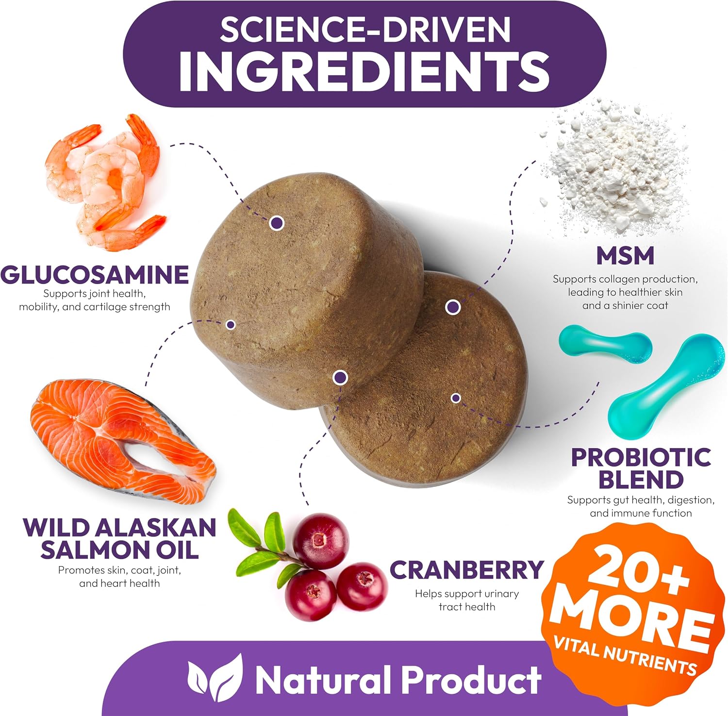 Petsology Dog Multivitamin Chewable - 170 Chews - görsel 3