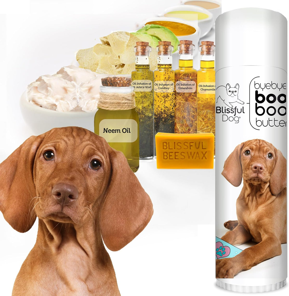 The Blissful Dog .50 oz Tube Vizsla Booboo Butter - görsel 2
