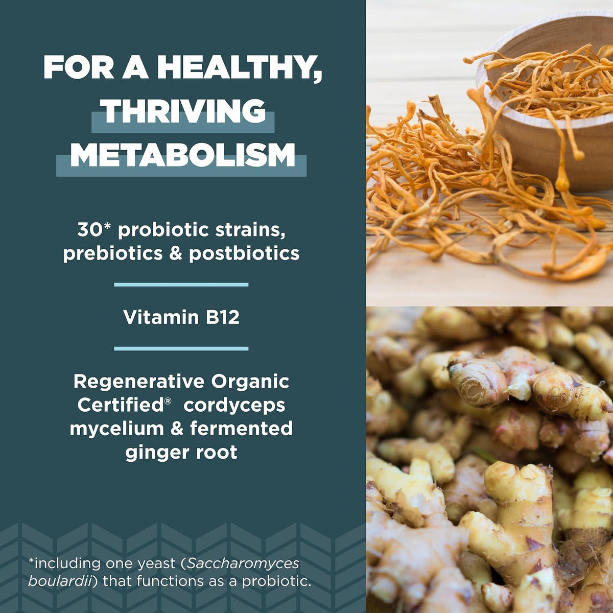Ancient Nutrition Regenerative Organic Certified Probiotics for Metabolism support, 50 Billion CFUs, 60 Capsules - görsel 3