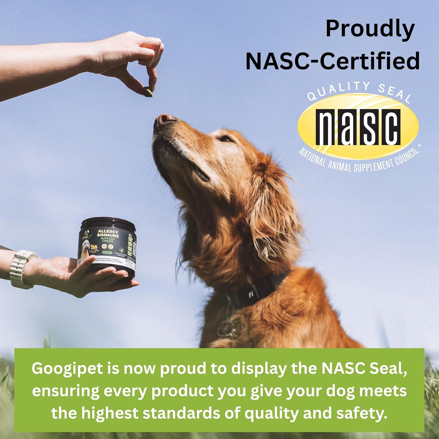 Googipet Premium Dog Multivitamin Chewable - Joint Support, Probiotics & Omegas (Chicken Flavour) - görsel 2