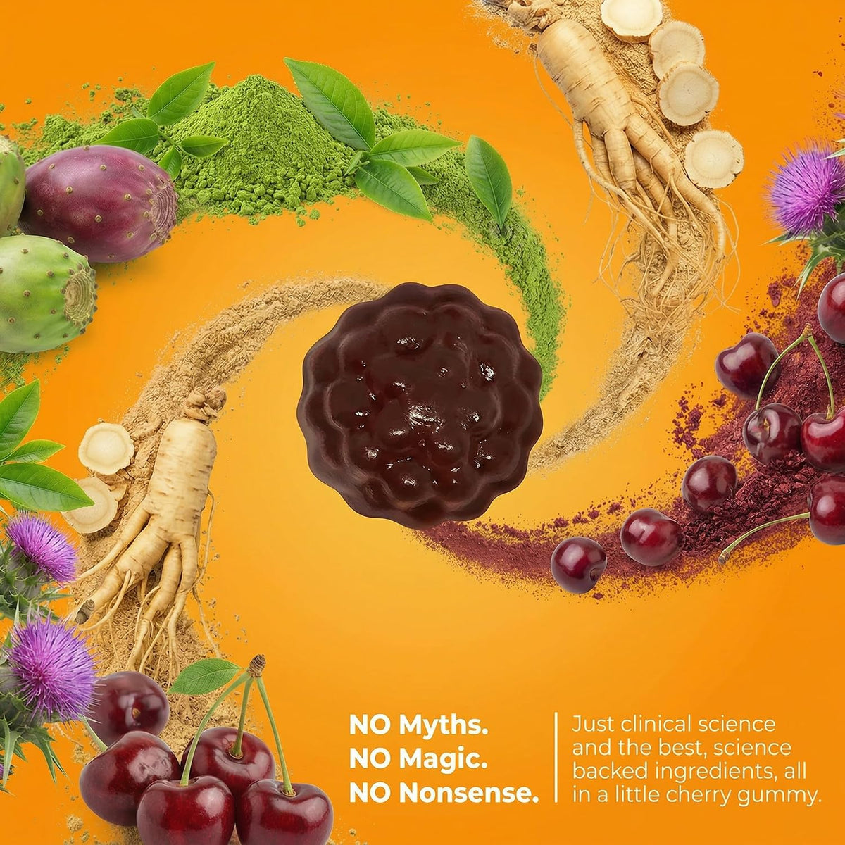 Toast! Before You Drink Gummies - Alcohol & Liver Support Food Supplement - Cherry - 10 Pack - görsel 4