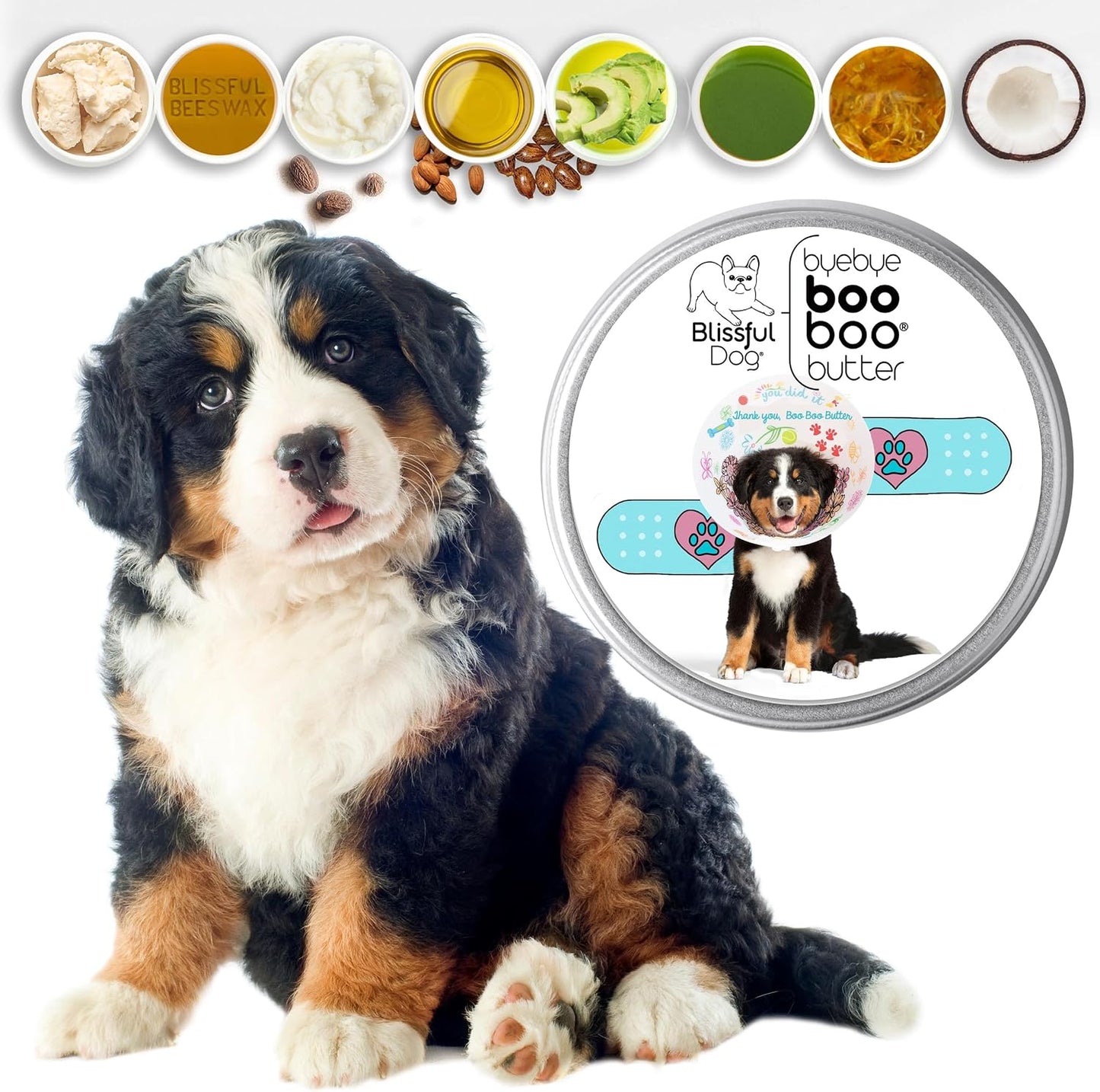 The Blissful Dog Bernese Mountain Dog Booboo Butter (113g Tin) - görsel 2