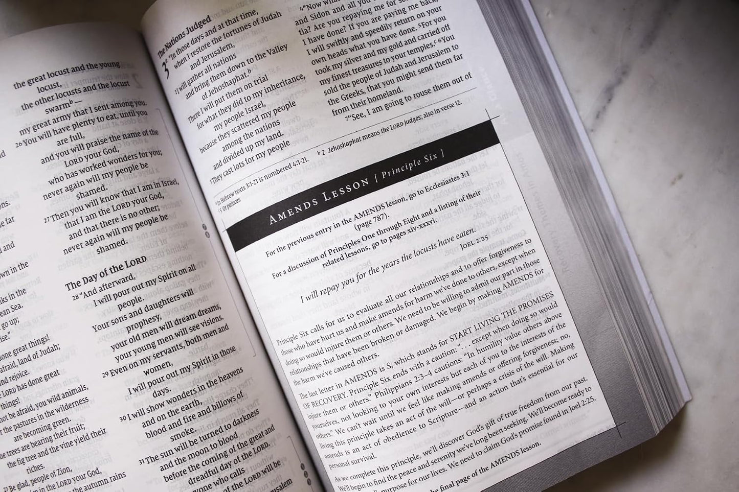 NIV, Celebrate Recovery Study Bible (35th Anniversary Edition), Paperback, Comfort Print - görsel 6