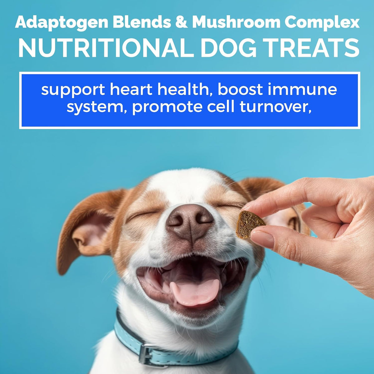 MEDii Pet Dog Multivitamin + 74 Organic Minerals - Overall Health Builder, 125 Chews - görsel 8
