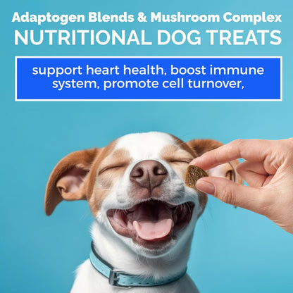 MEDii Pet Dog Multivitamin + 74 Organic Minerals - Overall Health Builder, 125 Chews
